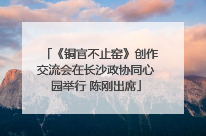《铜官不止窑》创作交流会在长沙政协同心园举行 陈刚出席