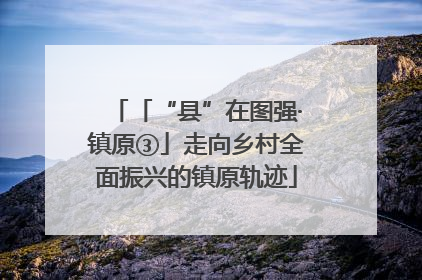 「“县”在图强·镇原③」走向乡村全面振兴的镇原轨迹