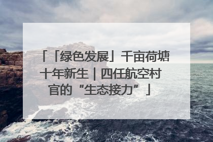 「绿色发展」千亩荷塘 十年新生｜四任航空村官的“生态接力”