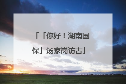 「你好！湖南国保」汤家岗访古