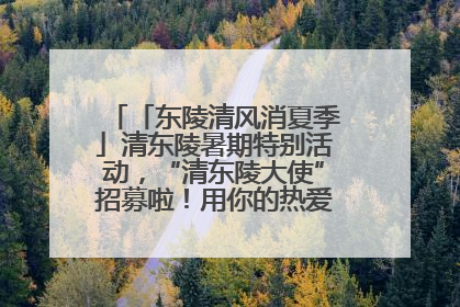 「东陵清风消夏季」清东陵暑期特别活动，“清东陵大使”招募啦！用你的热爱守护世界遗产！