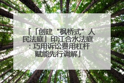 「创建“枫桥式”人民法庭」印江合水法庭：巧用诉讼费用杠杆 赋能先行调解