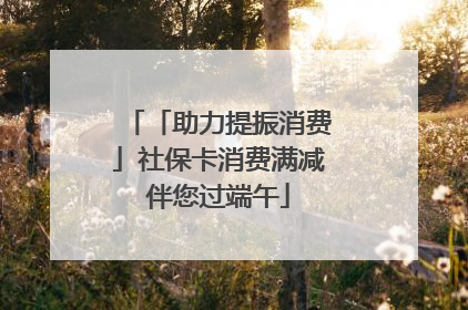 「助力提振消费」社保卡消费满减伴您过端午
