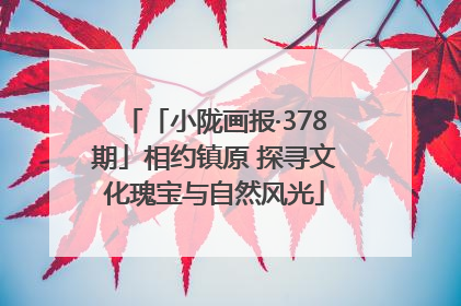 「小陇画报·378期」相约镇原 探寻文化瑰宝与自然风光
