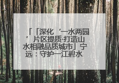 「深化‘一水两园’片区提质·打造山水相融品质城市」宁远：守护一江碧水 共享幸福河湖