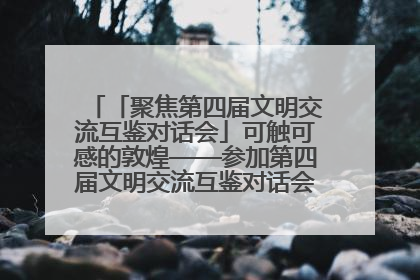 「聚焦第四届文明交流互鉴对话会」可触可感的敦煌——参加第四届文明交流互鉴对话会的外宾参观上元市集