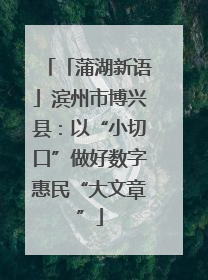 「蒲湖新语」滨州市博兴县：以“小切口”做好数字惠民“大文章”