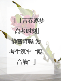 「青春逐梦 高考时刻」静音降噪 为考生筑牢“隔音墙”