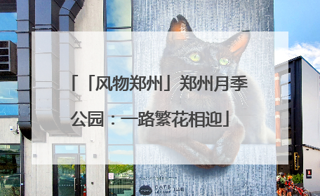 「风物郑州」郑州月季公园：一路繁花相迎