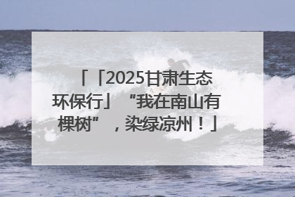 「2025甘肃生态环保行」“我在南山有棵树”，染绿凉州！