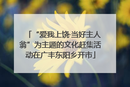 “爱我上饶·当好主人翁”为主题的文化赶集活动在广丰东阳乡开市