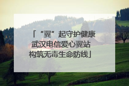 “翼”起守护健康 武汉电信爱心翼站构筑无毒生命防线