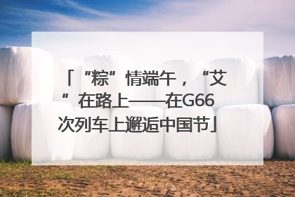 “粽”情端午，“艾”在路上——在G66次列车上邂逅中国节