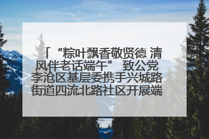 “粽叶飘香敬贤德 清风伴老话端午” 致公党李沧区基层委携手兴城路街道四流北路社区开展端午节主题活动