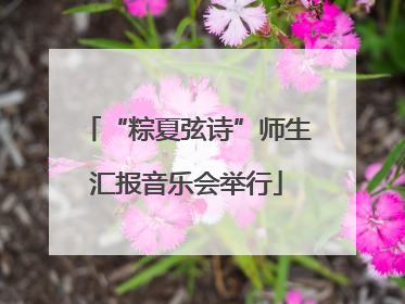 “粽夏弦诗”师生汇报音乐会举行