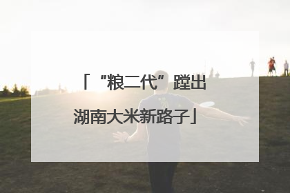 “粮二代”蹚出湖南大米新路子
