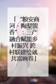 “粮安商河・陶梨留香”：三产融合赋能乡村振兴 跨村联建绘就共富画卷