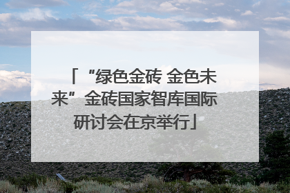 “绿色金砖 金色未来”金砖国家智库国际研讨会在京举行