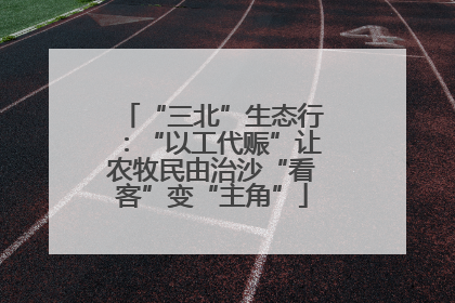 “三北”生态行：“以工代赈”让农牧民由治沙“看客”变“主角”