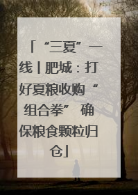 “三夏”一线丨肥城：打好夏粮收购“组合拳” 确保粮食颗粒归仓