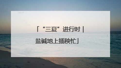 “三夏”进行时｜盐碱地上插秧忙