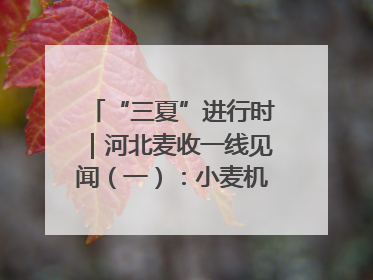 “三夏”进行时｜河北麦收一线见闻（一）：小麦机收减损“竞技” 农机高手麦田“过招”