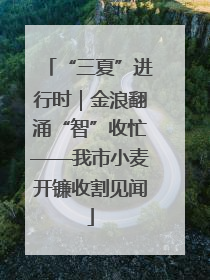 “三夏”进行时｜金浪翻涌“智”收忙——我市小麦开镰收割见闻