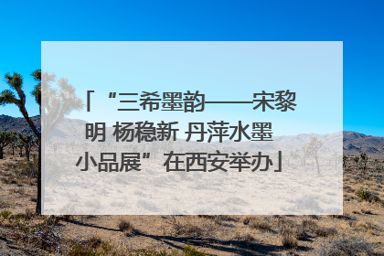 “三希墨韵——宋黎明 杨稳新 丹萍水墨小品展”在西安举办