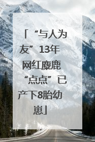 “与人为友”13年 网红麋鹿“点点”已产下8胎幼崽