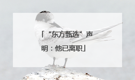 “东方甄选”声明：他已离职