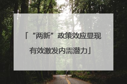 “两新”政策效应显现 有效激发内需潜力