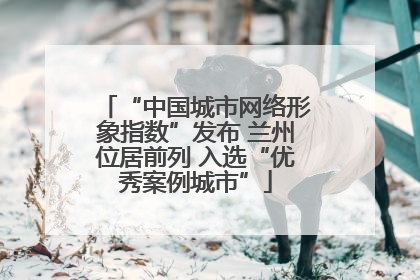 “中国城市网络形象指数”发布 兰州位居前列 入选“优秀案例城市”