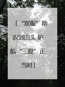 “双服”助农到田头 护航“三夏”正当时