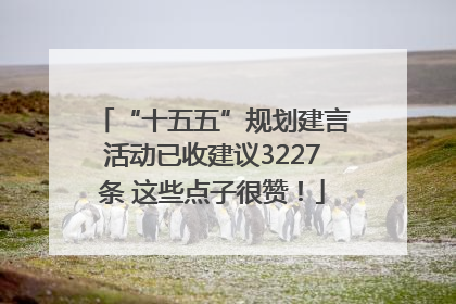 “十五五”规划建言活动已收建议3227条 这些点子很赞！
