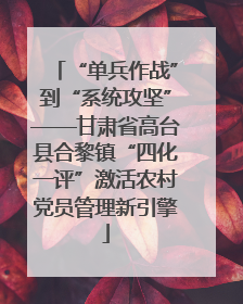 “单兵作战”到“系统攻坚”——甘肃省高台县合黎镇“四化一评”激活农村党员管理新引擎