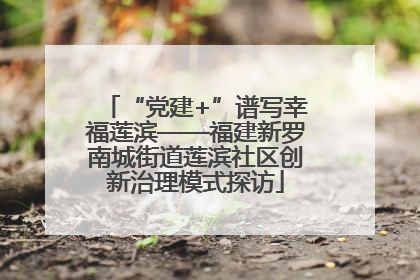 “党建+”谱写幸福莲滨——福建新罗南城街道莲滨社区创新治理模式探访