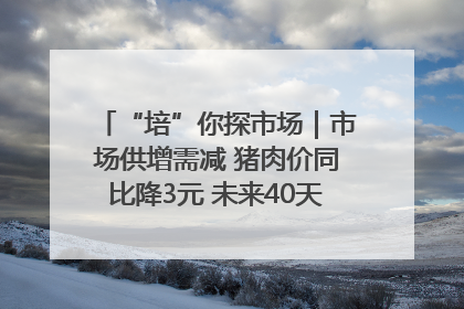 “培”你探市场｜市场供增需减 猪肉价同比降3元 未来40天便宜猪肉敞开吃
