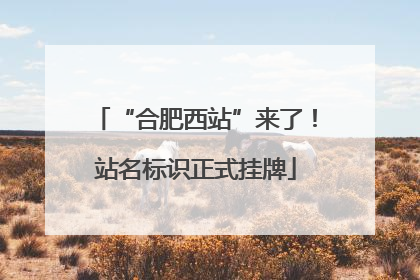 “合肥西站”来了！站名标识正式挂牌