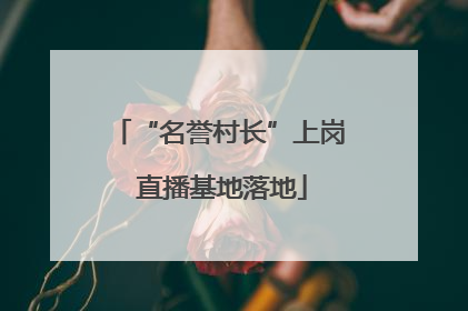 “名誉村长”上岗 直播基地落地