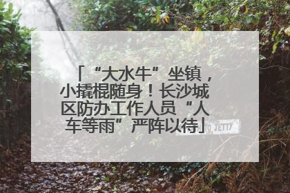 “大水牛”坐镇，小撬棍随身！长沙城区防办工作人员“人车等雨”严阵以待