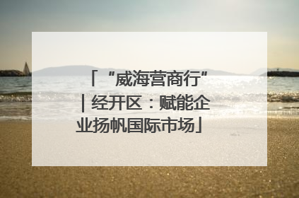 “威海营商行”｜经开区：赋能企业扬帆国际市场