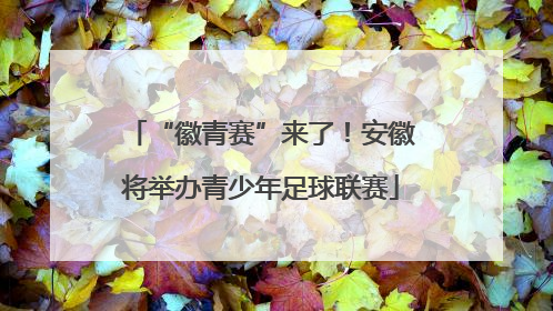 “徽青赛”来了！安徽将举办青少年足球联赛