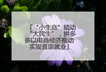 “小生意”撬动“大民生”，拼多多以电商经济推动实现普惠就业