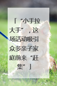 “小手拉大手”，这场活动吸引众多亲子家庭前来“赶集”