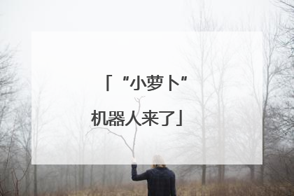 “小萝卜”机器人来了