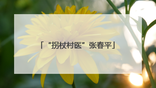 “拐杖村医”张春平