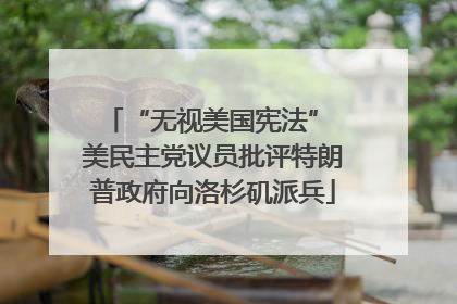 “无视美国宪法” 美民主党议员批评特朗普政府向洛杉矶派兵