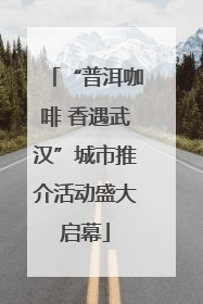 “普洱咖啡 香遇武汉”城市推介活动盛大启幕