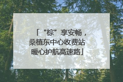 “棕”享安畅，桑植东中心收费站暖心护航高速路