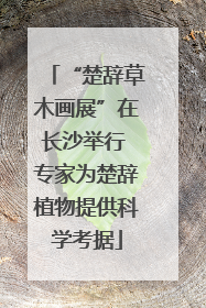 “楚辞草木画展”在长沙举行 专家为楚辞植物提供科学考据